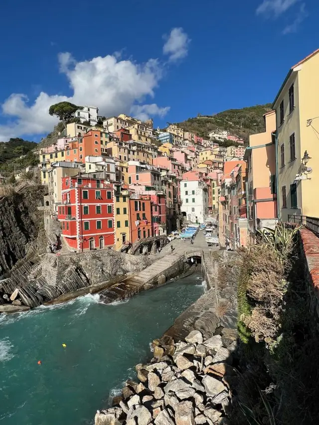 Vibrant houses overlooking the sea